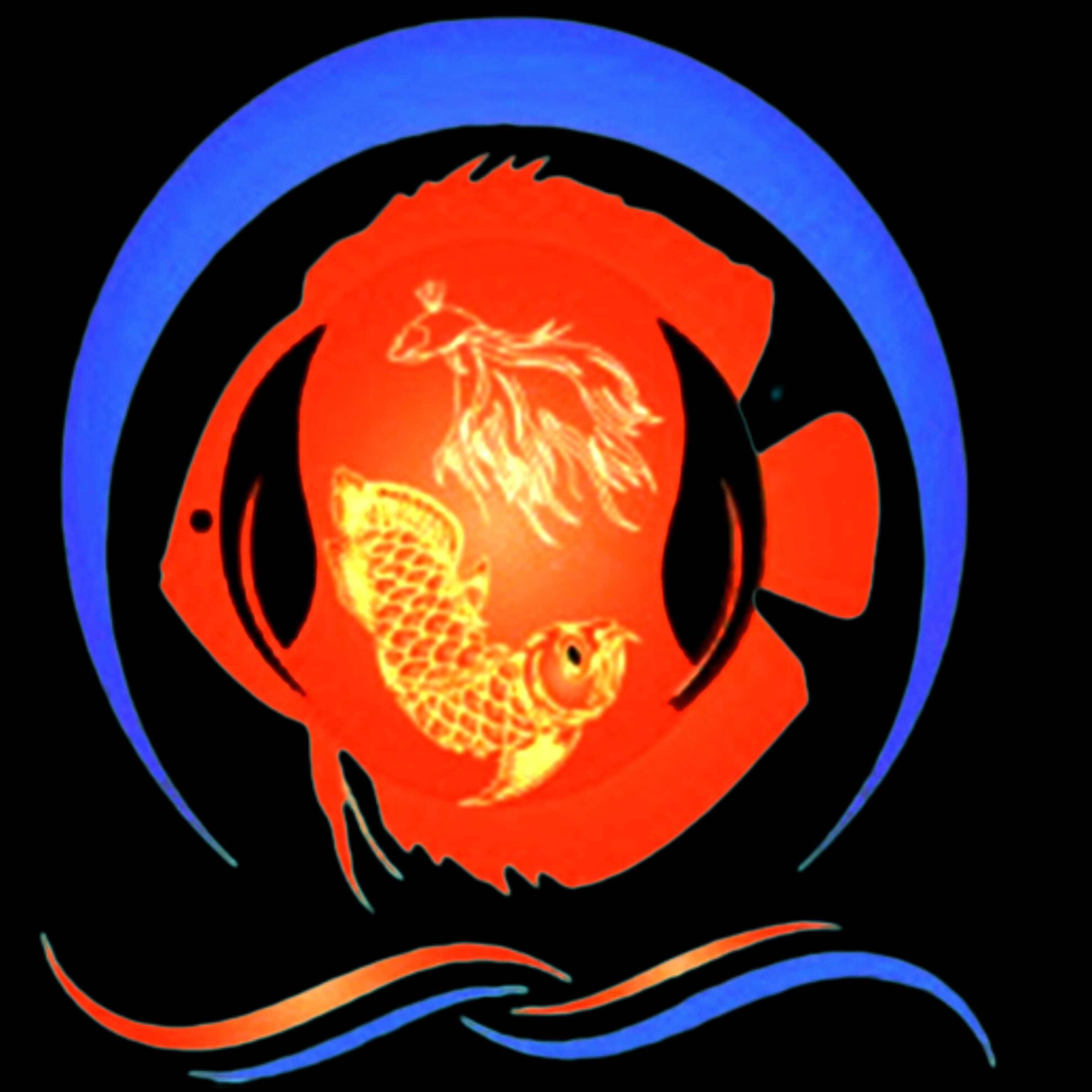 Aquarium fish EXOTIC PARADISE AQUARIUM & PET STORE